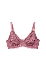 2025_11_15_Joge_Ecommerce_3463